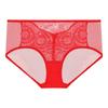 Aimer Women's Red Lace Mid-Waist Panties