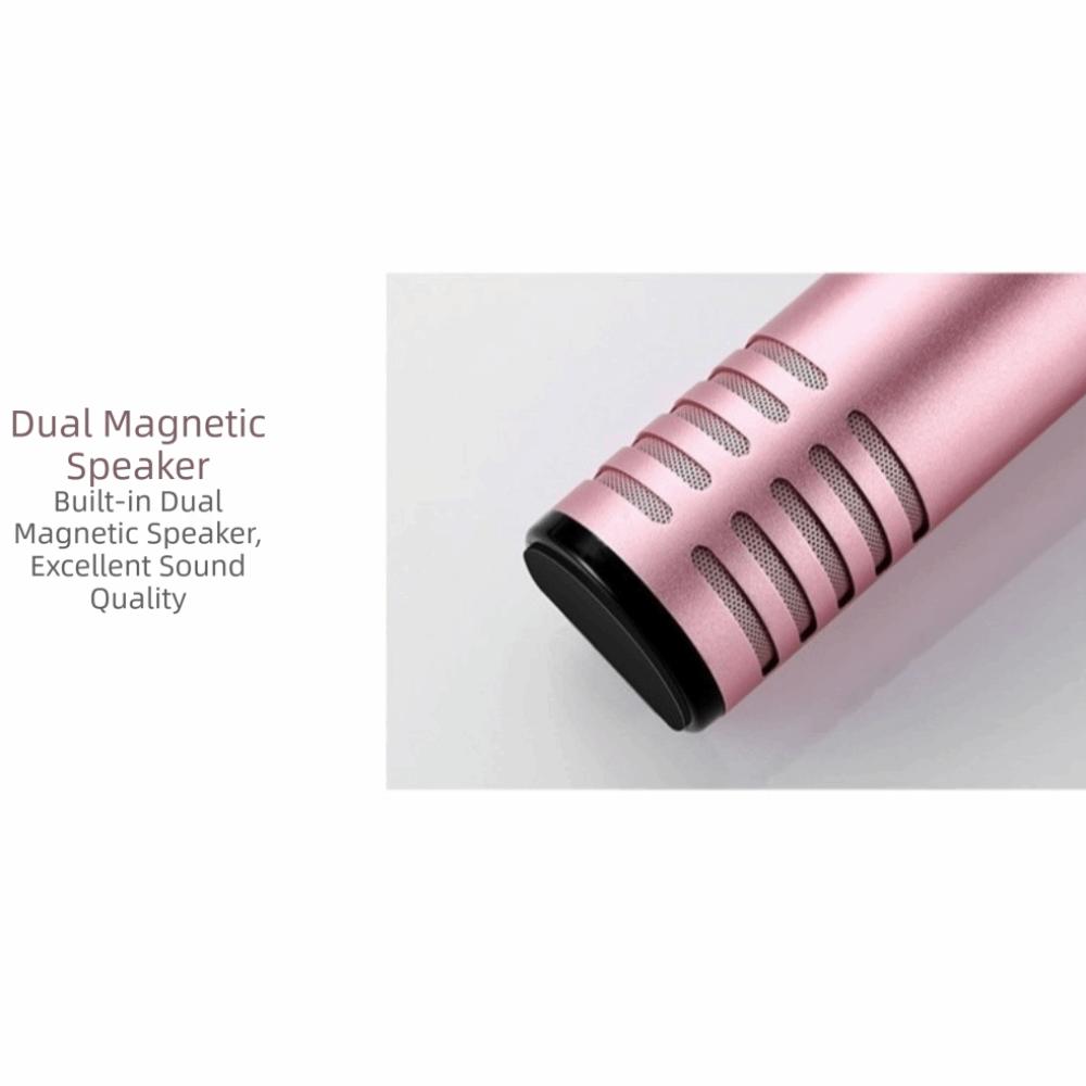 Professional Karaoke Microphone Dual Speaker Karaoke Speaker Microphone Wireless Microphone Bar