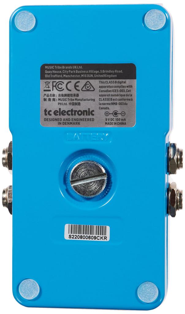 Tc Electronic Delay FLASHBACK 2 DELAY LOOPER &