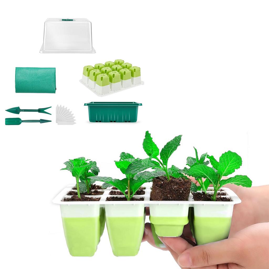 Набор поддонов для проращивания рассады, комнатная теплица, ящик для выращивания растений для домашнего использования, ящик для размножения с прозрачной крышкой