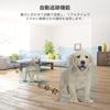 EZVIZ Pet Camera C6N Black GHz [Full HD/360° Recording/Night Vision/Automatic Tracking/Motion Detection/Security Camera/2.4 Wi-Fi/Indoor Camera/Remote