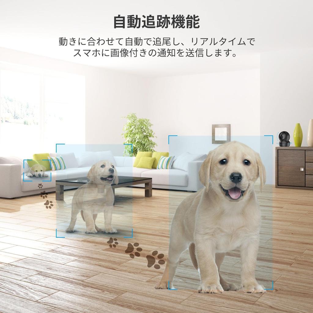 EZVIZ Pet Camera C6N Black GHz [Full HD/360° Recording/Night Vision/Automatic Tracking/Motion Detection/Security Camera/2.4 Wi-Fi/Indoor Camera/Remote