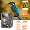 Suntekcam 2g 20mp 1080p Mms/smtp/sms Hc801m 2g камера для охотничьих троп дикой природы Po ловушки 0,3 с триггерная камера охотника