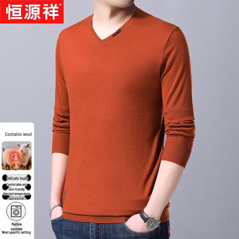 Hengyuanxiang Men's V-Neck Solid Color Wool Blend Long Sleeve Sweater