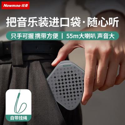 Newmine PBS001 TWS Портативная Bluetooth-колонка CN-вилка (адаптер в комплекте)