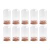 10 Pack Glass Display Domes Cloche Jars for Showcasing Collectibles