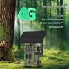 4G Солнечная камера для наружного наблюдения за дикой природой с инфракрасным ночным видением