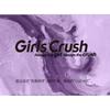 Girls Crush - Зеркальный блеск для губ - 3 цвета