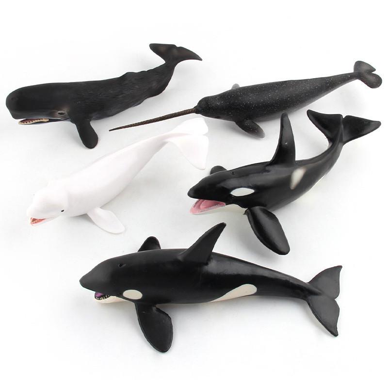 Blue Whale Marine Animal Pvc Model Collection For Kids Educational Display Toys