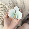 Women Girls Summer Beach Orchid Flower Hair Clip Hawaiian Boho Butterfly Orchid Hair Barrettes Hair Accessories