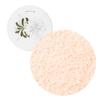 Paul Joe Loose Face Powder Refill & #02 [Item]