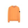 Sweatshirt Men's Orange 731563020-v0032