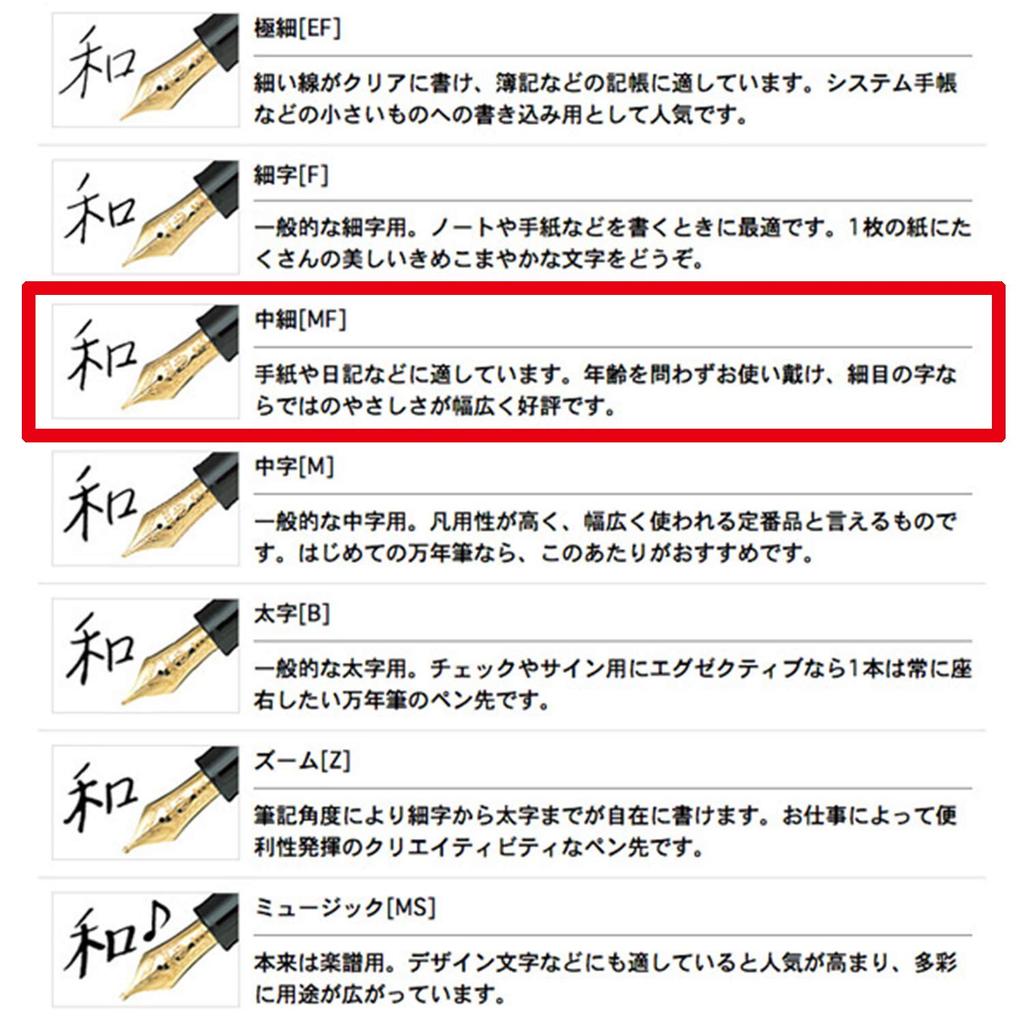 Sailor Fountain Pen Profit Standard 21 Black Medium Fine 11-1521-320