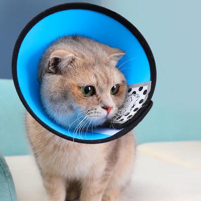 Пластиковый защитный воротник для кошки, сплошного цвета, предотвращающий вылизывание, для защиты послеоперационных ран