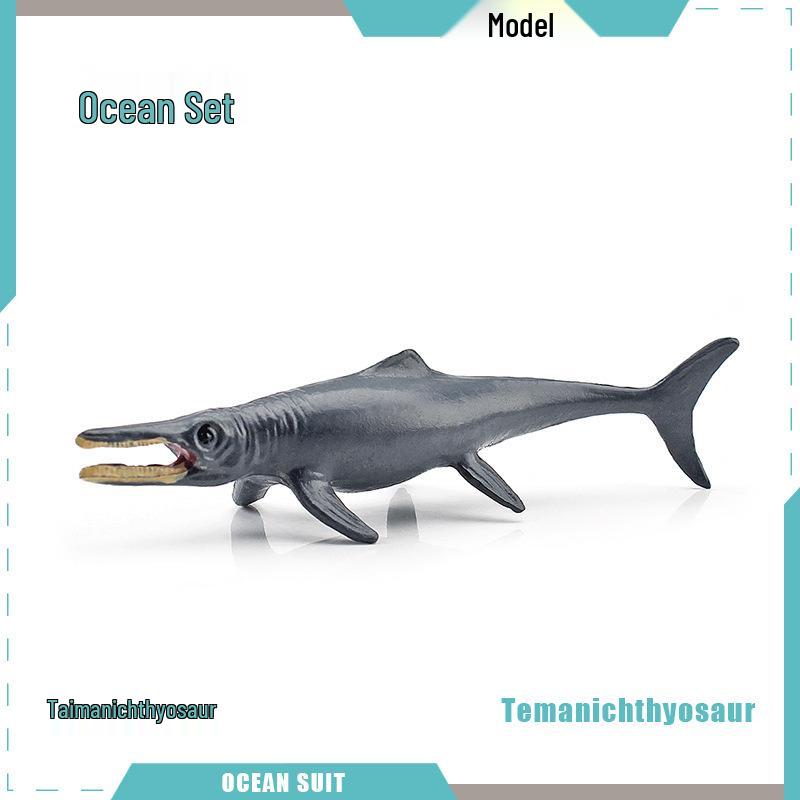 Children's Marine Animal Model Set: Mini Whale, Shark, Dolphin, Turtle, Sea Lion