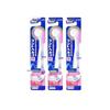 Lion D.HEALTH Soft Gum Care Toothbrush (3-Pack)