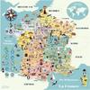 Puzzle Carte De France Magnétique VILAC - Voyage Et Cartes - Mixte - 5 Ans Et Plus - Moins De 100 Pièces