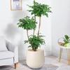 Ying Tang Imitation Cement Large Plastic Floor Flower Pot