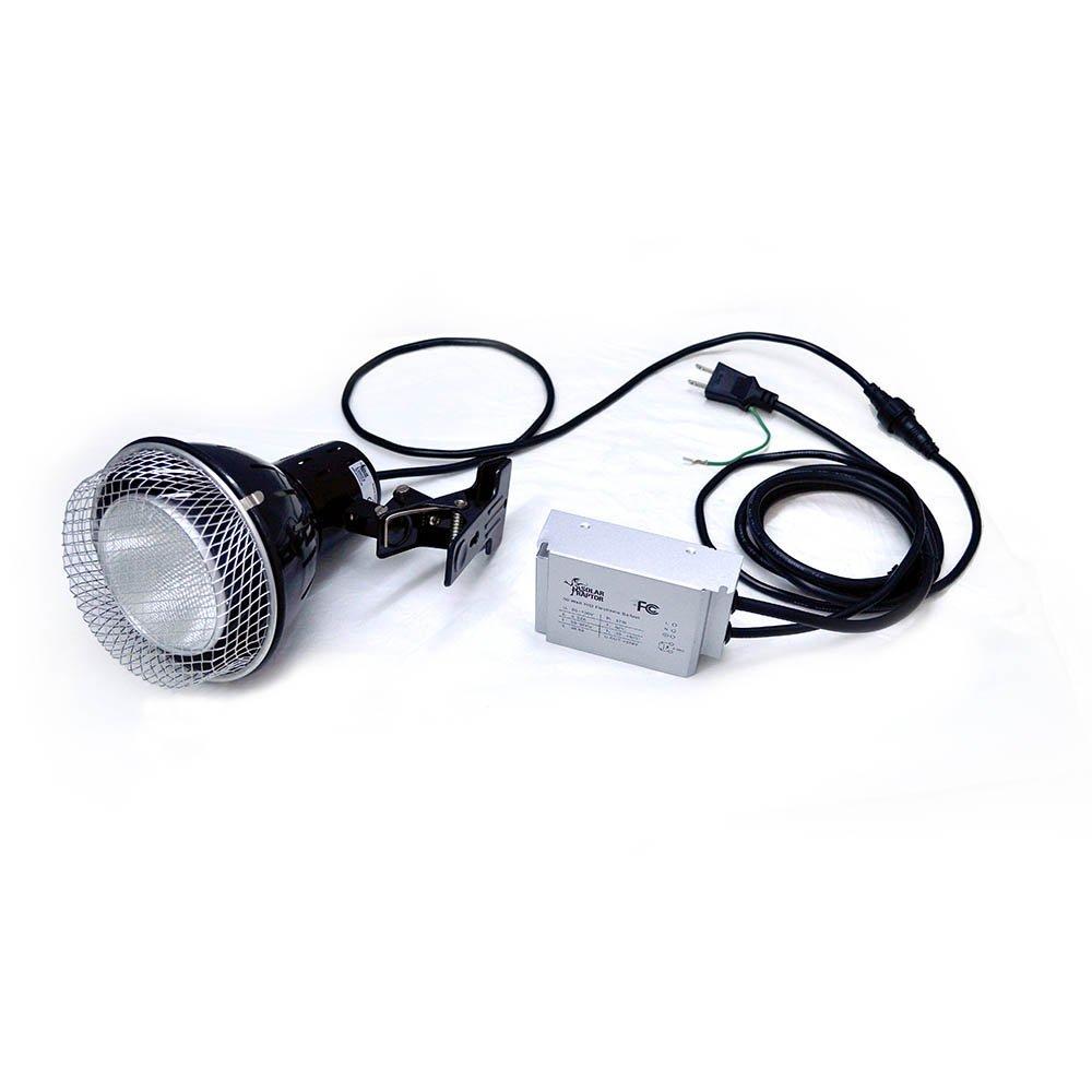 Zensui Solar Raptor HID Lamp 50W