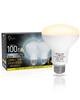 ORALUCE LED Light Bulbs, E26 Base, Reflector Type, Warm White, 100W Equivalent, 10W, 1020lm, 3000K, 120-Degree Downward Angle, Non-Dimmable, PSE