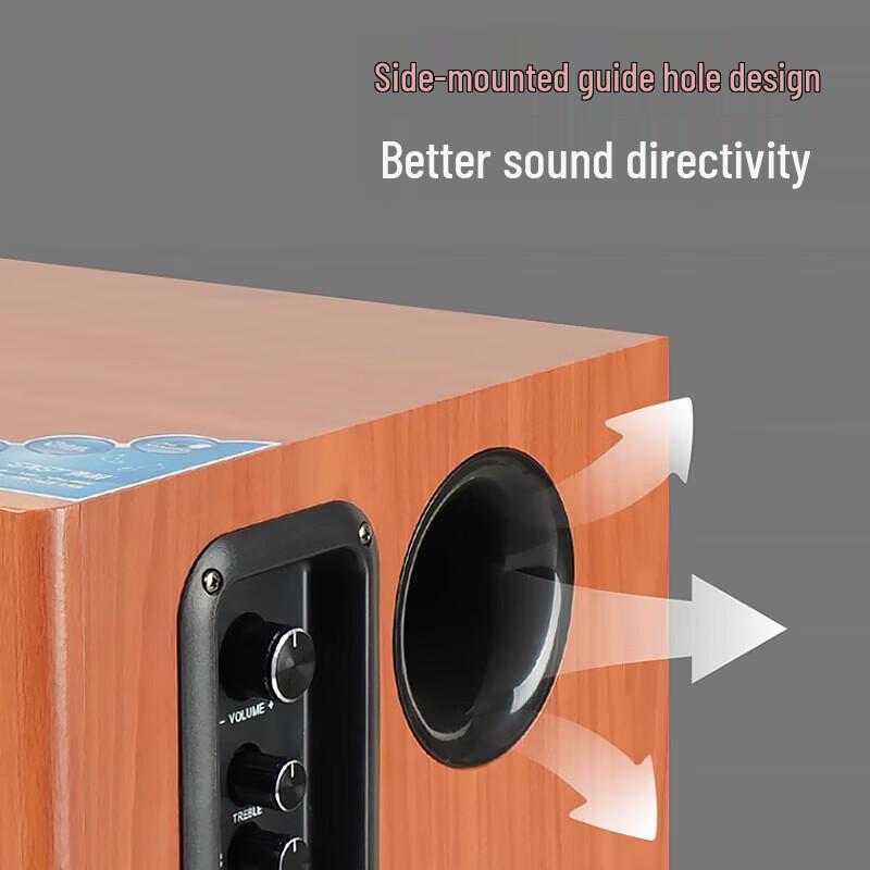 SAST SA-6606 Домашняя KTV Bluetooth-акустическая система Штепсель CN (адаптер в комплекте)