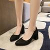 Office High Heels Women 2024 Spring and Autumn New Sharp Head Thick with Fashion Work Commuting Shallow Mouth Single Shoes