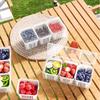 1 Set of Kitchen Refrigerator Accessories with a Lid, Food Storage Container, with 3 Transparent Square Detachable Compartment D