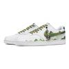 Nike Court Vision 1 Deep In The Mountains Abrasion Resistant Low top Skateboard Shoes Men's White Green DH2987-101(Team73-)