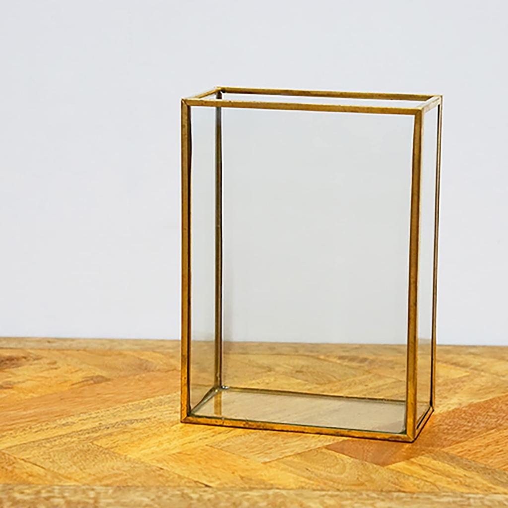 Posh Living Frame Flower Vase, Solid, Clear, Size: Approx. W12 D6 H16.5 (22696)