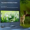 IN&VI GHZ Anti-Glare Fixed Frame Projector Screen