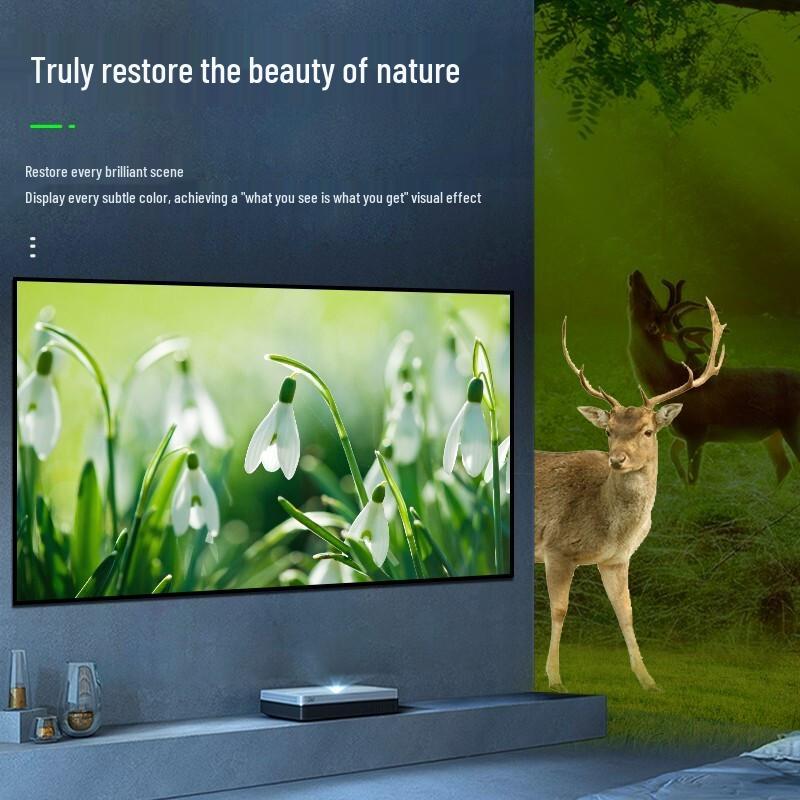 IN&VI GHZ Anti-Glare Fixed Frame Projector Screen