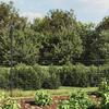 VidaXL Wire Mesh Fence with Flange, Decorative Fence Panel, Garden Patio Protection Barrier 154299