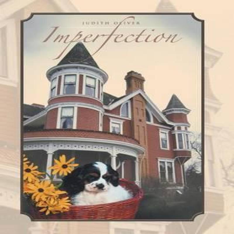 Imperfection by Judith Oliver Hardback Book 9781512747508