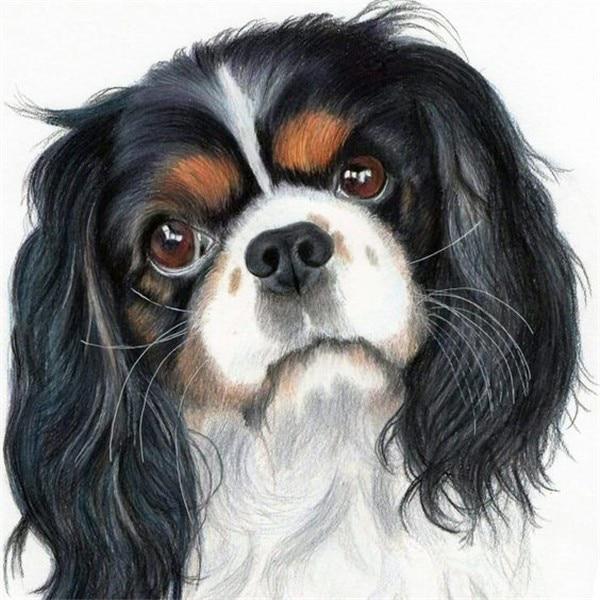 5d Sale Embroidery Diamond Diy Diamond Painting Dog Animal Rhinestone Picture