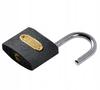 Gray Padlock (240)