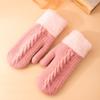 Winter Women Keep Warm Plus Velvet Wrist Thicken Jacquard Twist Wool Knitting Gloves Full Finger Cycling Drive Cute Mittens