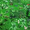 40x60CM Artificial Plants Wall Panel Realistic Fake Greenery Grass Wall Backdrop Decoration Indoor Outdoor Garden Privacy Backyard Hedge Fence Screen