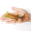 Realistic Prehistoric Sea Creatures Animal Figurines Baculite,Opabinia,Crab,Mantis Shrimp Educational Marine Animal Mode Figures
