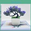 Simulated Potted Pinus Hwangshanensis Artificial Flower For Decor Indoor