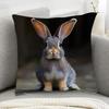 1pc Dutch Long-Eared Rabbit Pattern Pillowcase, Made of Soft And Comfortable Polyester Short Plush Fabric, Single-Sided Print, 44.96*44.96 Cm, Machine