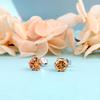 Ювелирные изделия Шестилапчатые серьги-гвоздики Циркон Модный нишевый дизайн Sense Корейский стиль Женские серьги-гвоздики Ins
