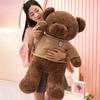 Кукла Медведь Плюшевая игрушка Мишка Обнимающий медведь Тряпичная кукла Подарок на день рождения девочке Кукла для ребенка