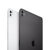 Apple IPad Pro 11 дюймов M5 (2025) (Китайская версия)