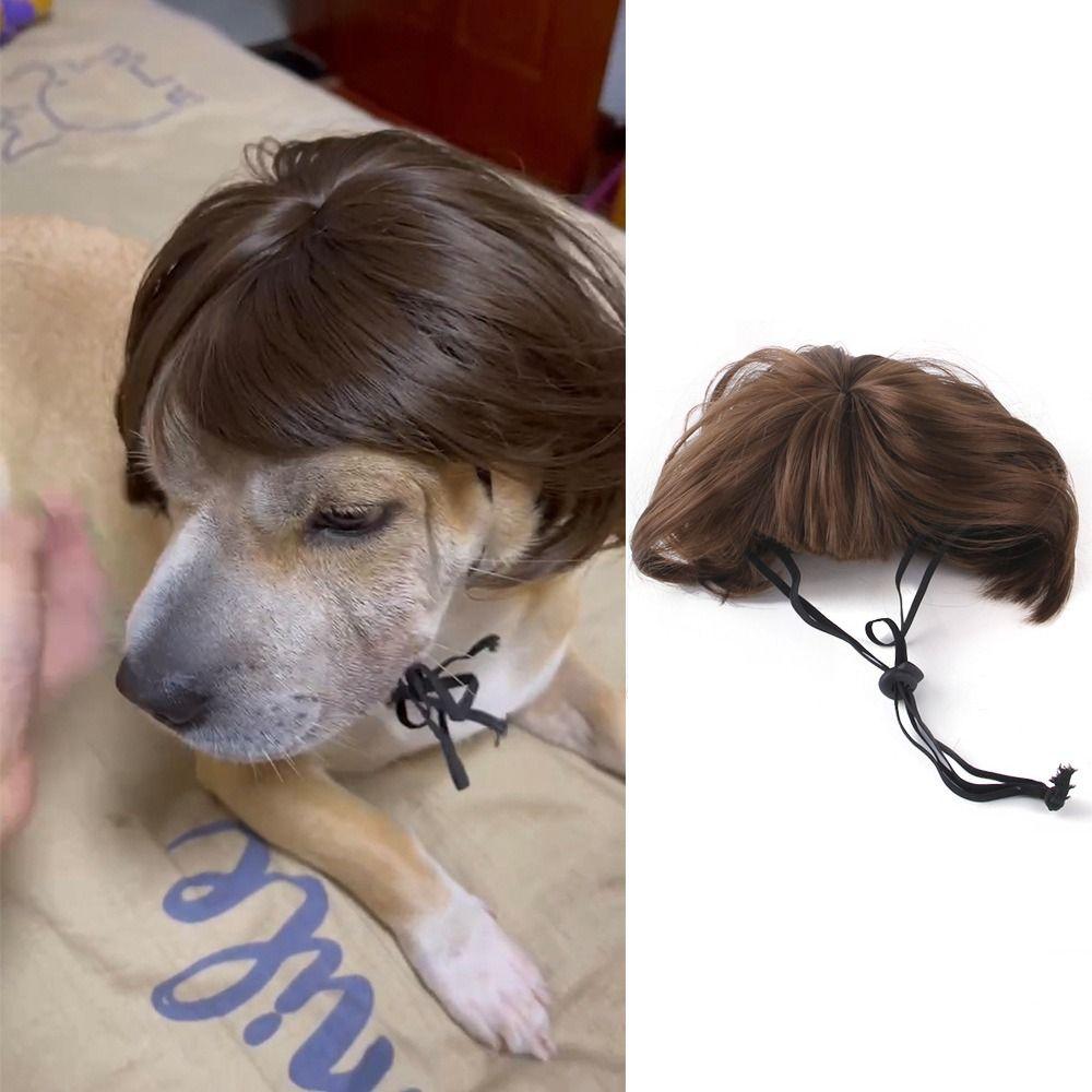 Реквизит для косплея, парики для домашних животных, милые розыгрыши, товары для домашних животных, вечерние товары для собак и кошек, переодевание в волосы, подарок