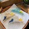 1pc New Dolphin Sea Star Shell Cute and Elegant Hairpin Texture Temperament Light Luxury Shark Clip
