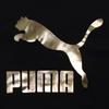 Puma Classics Gold Logo Knit Pullover Hoodie Men Tops Black 595907-51
