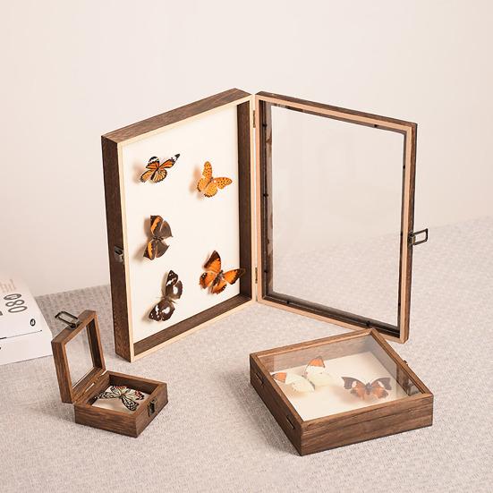 Витрина с высокой видимостью. Большой теневой ящик для насекомых. Деревянная конструкция. Несколько размеров. Витрина для хранения образцов насекомых с гладкими краями.