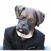 Паршивая маска собаки, головной убор для домашней собаки