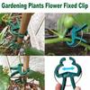 10/20PCS Adjustable Plant Fixed Clips Reusable Greenhouse Bracket Fixing Stems Flower Vine Tomatoes Fastener Garden Tool