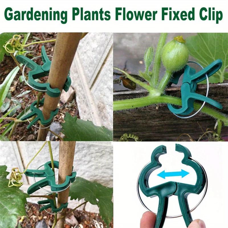 10/20PCS Adjustable Plant Fixed Clips Reusable Greenhouse Bracket Fixing Stems Flower Vine Tomatoes Fastener Garden Tool